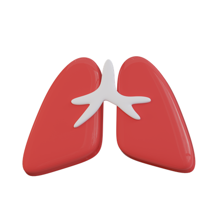 폐  3D Icon