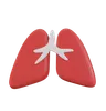 Lungs