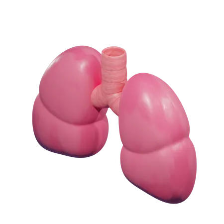 Lungs  3D Icon