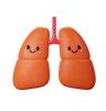 Lungs