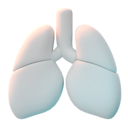 Lungs  3D Icon