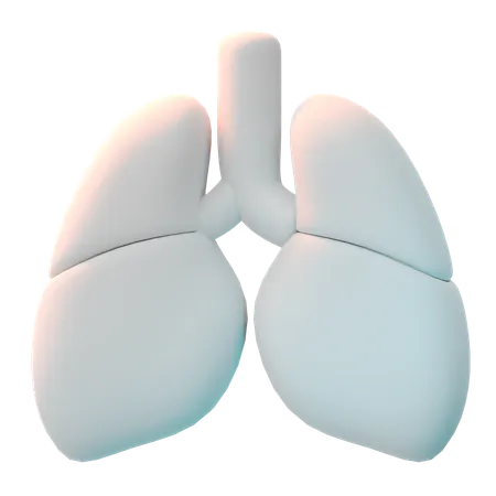 Lungs  3D Icon