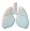 Lungs