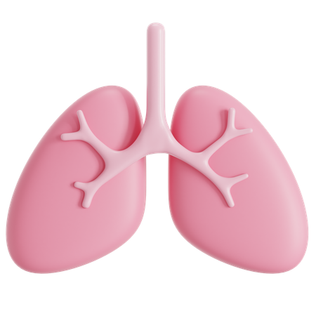 Lungs  3D Icon