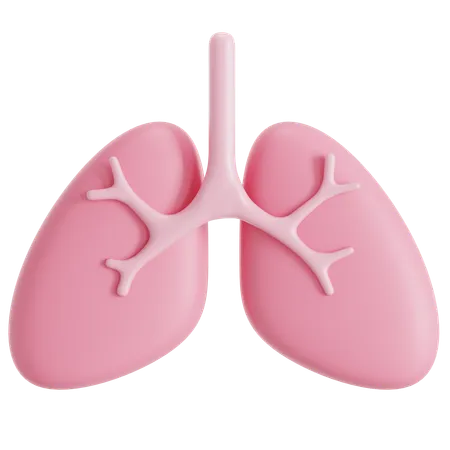 Lungs  3D Icon