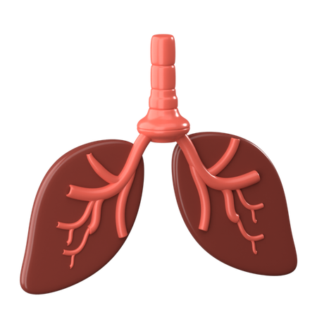 Lungs  3D Icon