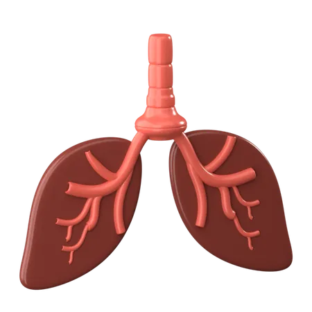 Lungs  3D Icon