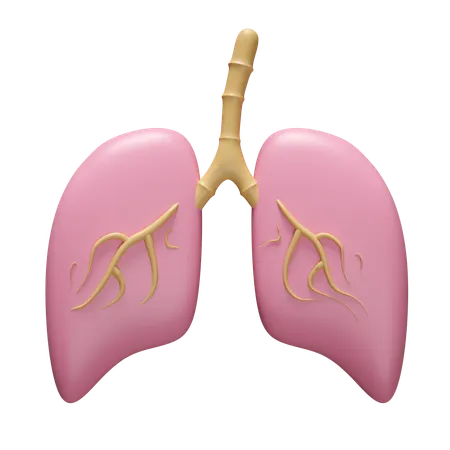 Lungs  3D Icon
