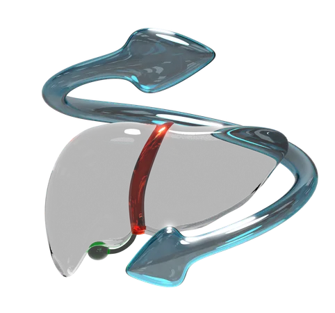 Lungs  3D Icon