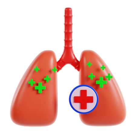 Lungs  3D Icon