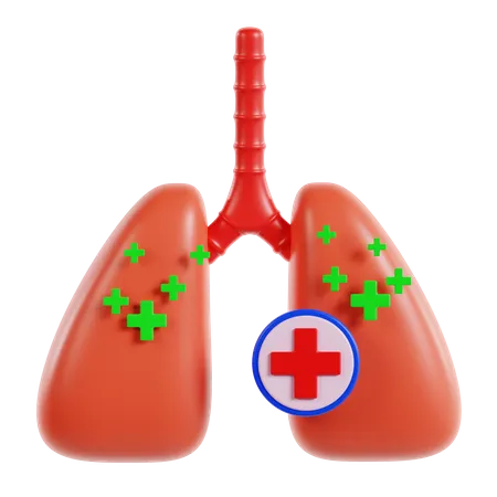 Lungs  3D Icon