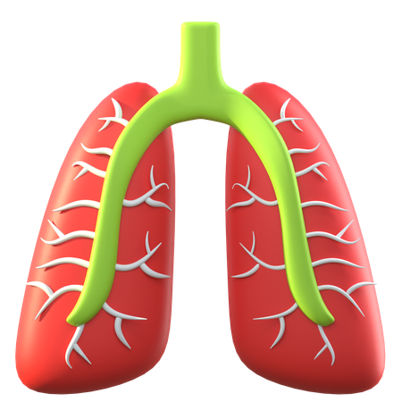 Lungs  3D Icon