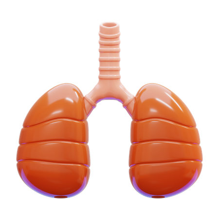 Lungs  3D Icon