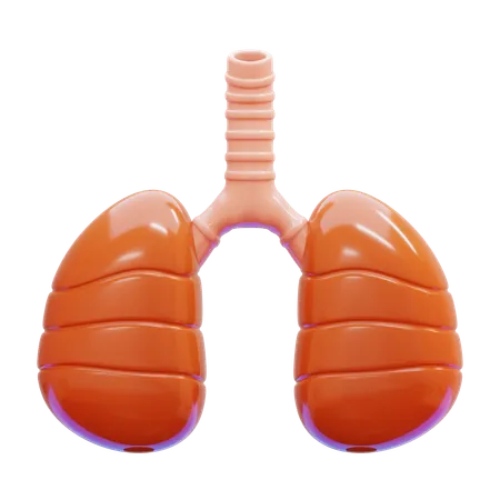 Lungs  3D Icon