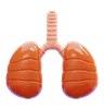 Lungs