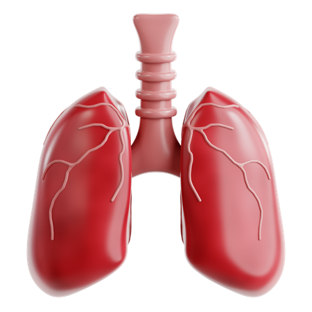 Lungs  3D Icon