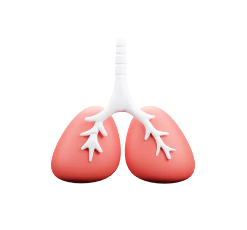 Lungs  3D Icon