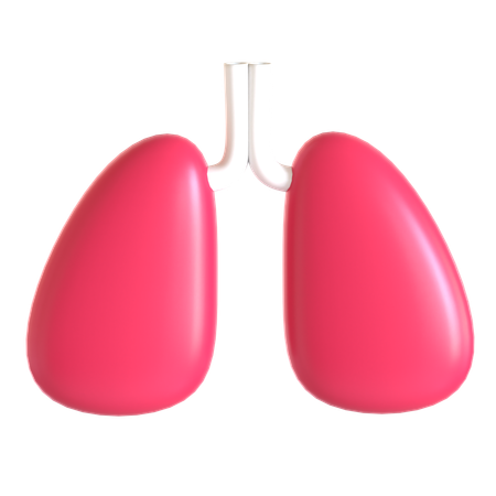Lungs  3D Icon