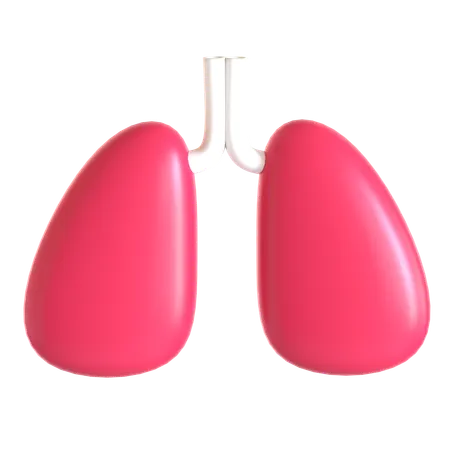Lungs  3D Icon