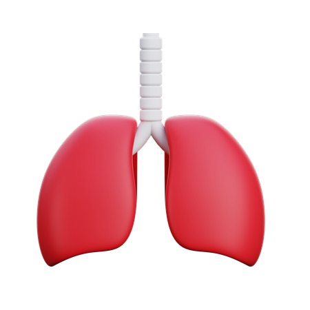 Lungs  3D Icon