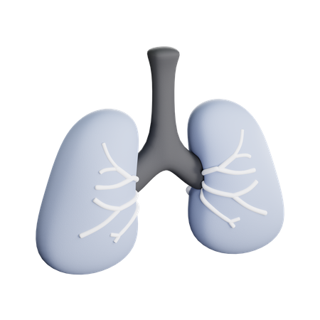 Lungs  3D Icon