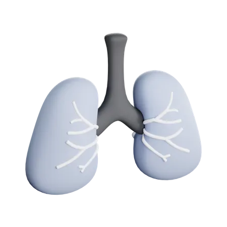 Lungs  3D Icon