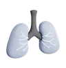 Lungs