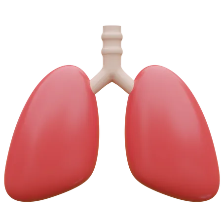 Lungs  3D Icon