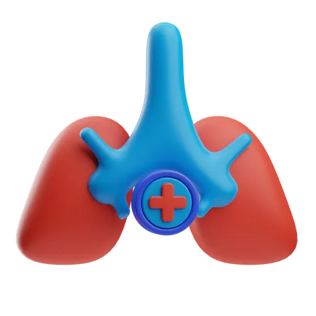 Lungs  3D Icon