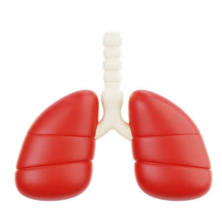Lungs  3D Icon