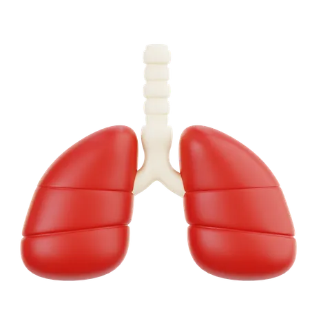 Lungs  3D Icon