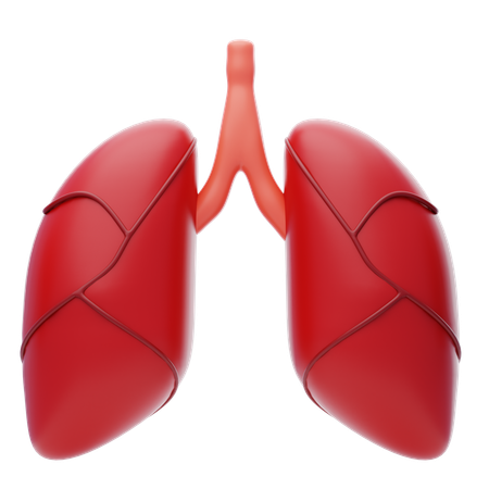 Lungs  3D Icon