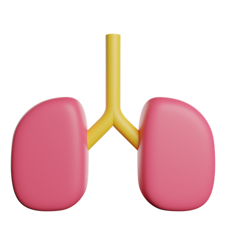 Lungs  3D Icon