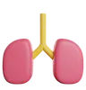 Lungs