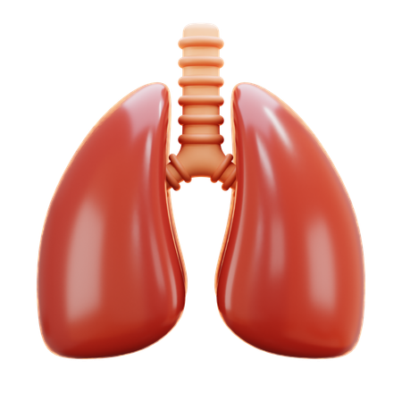 Lungs  3D Icon