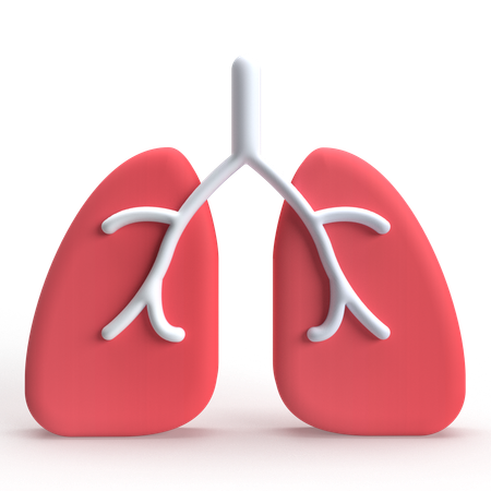 Lungs  3D Icon