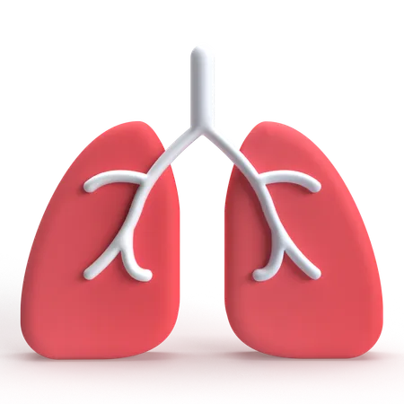 Lungs  3D Icon