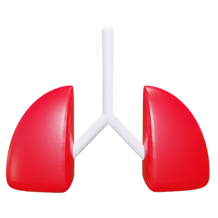 Lungs  3D Icon