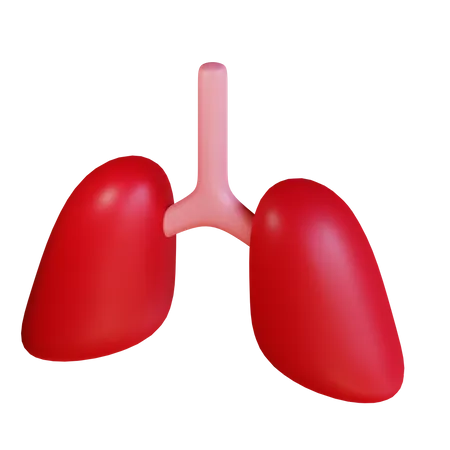 Lungs  3D Icon