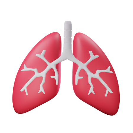 Lungs  3D Icon