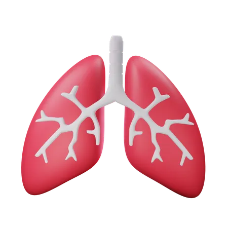 Lungs  3D Icon