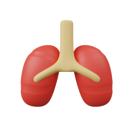 Lungs  3D Icon