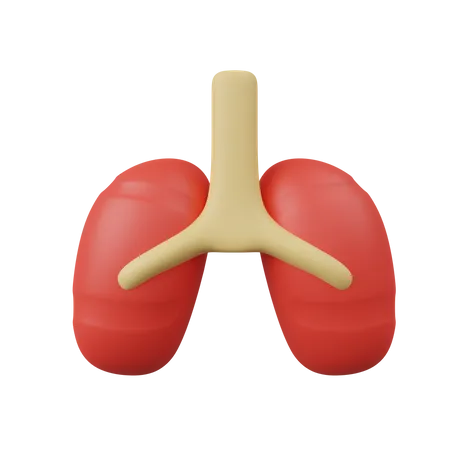 Lungs  3D Icon