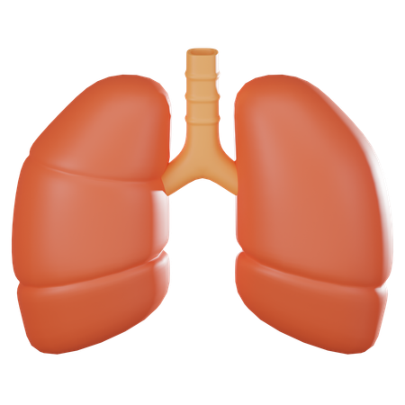 Lungs  3D Icon