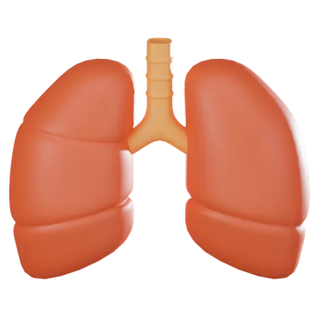 Lungs  3D Icon