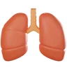 Lungs