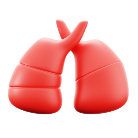 Lungs  3D Icon