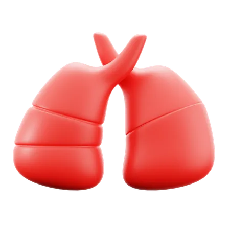 Lungs  3D Icon