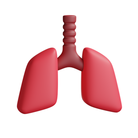Lungs  3D Icon