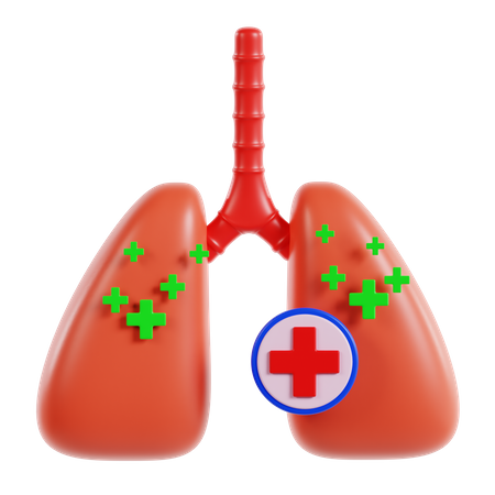 Lungs  3D Icon